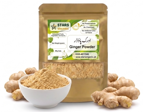 Dehydrated Ginger Powder (Adrak Powder)