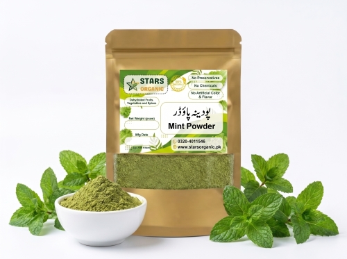 Mint Powder (Podina Powder)