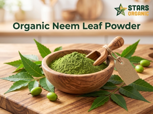 Organic Neem Leaf Powder 100g